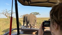 3 Days Private Budget Safari to Tarangire and Ngorongoro Crater