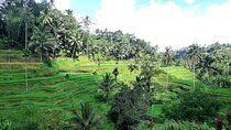 Best of Ubud - All Inclusive