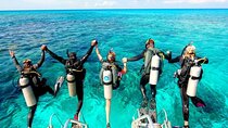 Diving Stops Full Day for Beginners with Lunch in Hurghada