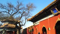 Private Layover Beijing Day Tour to Summer Palace and Lama Temple
