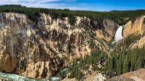 Private Yellowstone Highlights Tour