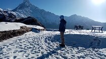 4 Days Private Mardi Himal Base Camp Trek