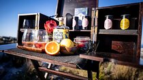 Private Gin & Tonic Sightseeing and Tasting in Cape Town