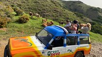 Shore Excursion Porto Moniz - Enchanted Terraces 4x4 tour 