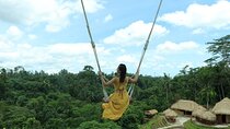 Ubud Tour With Bali Swing All Inclusive 