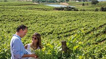 Private Tour: 2 days to discover the best of Alentejo wine route