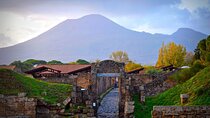 One Day, Two Treasures: Transfer to explore Vesuvius and Pompeii