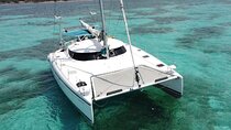 7hrs / 46ft Catamaran Private Charter From Cancun to Isla Mujeres