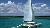  Saona Island Catamaran Adventure with Free Food and Transportation