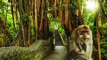 Ubud Skip the line Monkey Forest Sanctuary Ticket and Guided Tour