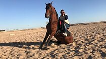 Horse Riding Adventure Journey Across the Sands :Marsa Alam