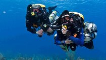 PADI Advanced Diver Course with Lunch & Hotel Transfer – Hurghada