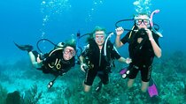 Advanced Diving Course Introduced by PADI & Transfers – Hurghada