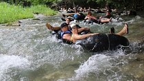 Action Pack Combo: Blue hole, river tubing and Dunn's River Falls