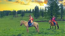 Mongolia Horse trekking and camping tour
