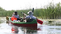 3-Day Private Tour in Danube Delta