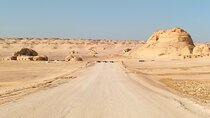 Fayoum Adventure Whales Valley, 4x4 Desert Safari with Wadi Rayan