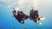 Half Day Scuba Diving Course enjoy Pool and Beach Dive Adventure