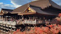 Private Guided Historical Sightseeing Tour in Kyoto