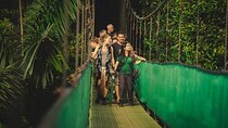 Monteverde Combo: Cable Car, Zipline, Hanging Bridges
