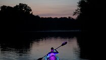 Small Group Clear Kayak Tour of Old Hickory Lake