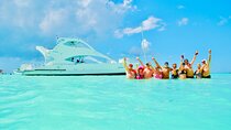 Private Exclusive Saona Island Tours