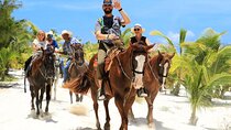 Horseback Riding Tour at Rancho Bonanza and Cenote Swim