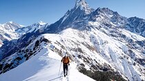 5 Days Glorious Mardi Himal Base Camp Trek from Kathmandu