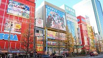 Private Akihabara Anime Guided Walking Tour 
