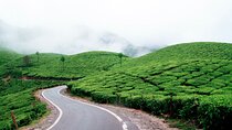 Private Day Tour of Munnar from Kochi in Air-Conditioned Vehicle