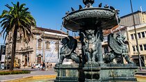 Porto's Best Must - See Highlights - Half Day Tour