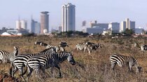 Private Tour Safari To Nairobi National Park