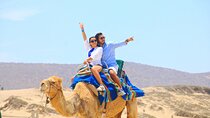 Camel riding experience on the shores of the Pacific Ocean