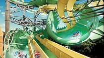 Atlantis Aquaventure and The Lost Chambers Aquarium Combo Ticket