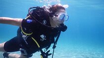 3 Hour Private Scuba Diving Experience