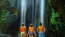Bali Waterfall : Tukad Cepung - Tibumana - Rice terrace & j.swing