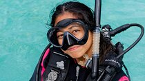 Discover Scuba Diving Cabo San Lucas Marine Park