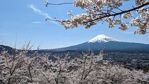 Private Car Tour to Mt. Fuji Lake Kawaguchiko or Hakone