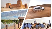Combo Culture & Adventure: North Qatar Heritage & Desert Safari