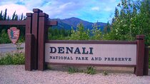 Denali to Fairbanks Shuttle Service