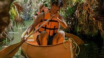 Tankah Eco-Adventure: Cenotes, Zip-lines & Mayan Lunch from Tulum