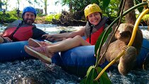Combo Blue river Tubing ,Sloth Refuge and Rain Forest.