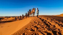 3 Days Fez to Marrakech via Sahara