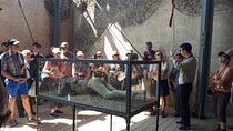 Guided Tour of Pompeii Ruins with Transfer Service