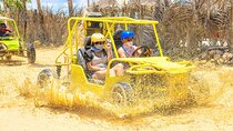 Buggies/ATVs/Polaris Adventure from Excellence Punta Cana
