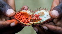 Zanzibar: Half - Day Spice Farm Tour, the flavors of Zanzibar