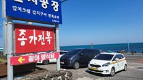 Private Taxi Transfer from Jeju City to Jeju Airport(one way )