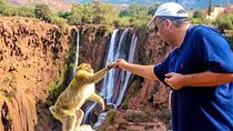 Private Day Trip from Marrakech to Ouzoud Waterfalls in Atlas