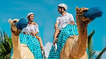 Half-Day Parasailing and Camel Caravan Tour in Maroma Beach