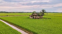 Paddy Field and Fishing Tour in Tanjong Karang
